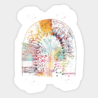 Nerve cells Sticker